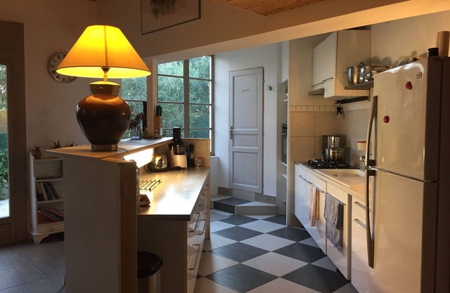 La Maison du Micocoulier, 80 m2, and its large green patio