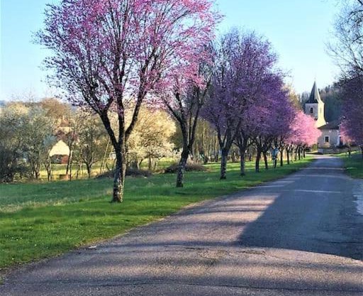 La MUSARDIERE Gîte paisible à la campagne