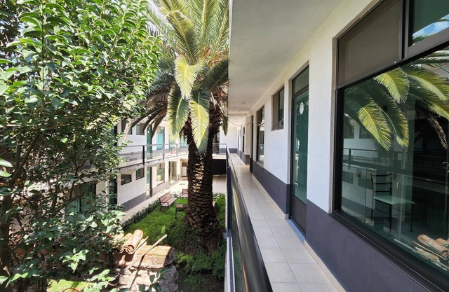 La Palma Co-living