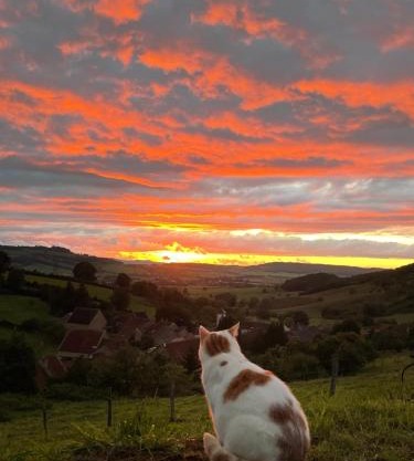 La petite maison dans la campagne