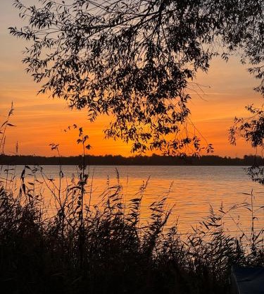 La Pura Vida - Glamping