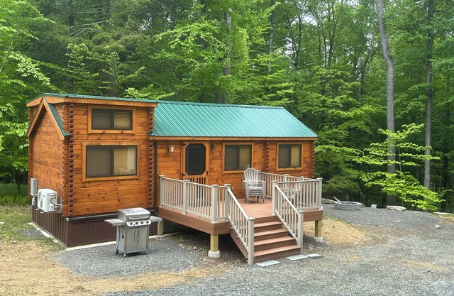 Lake Carey Cabin within walking distance to Old Carter Barn with lake access