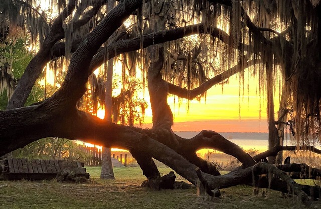 Lake Rosalie Retreat