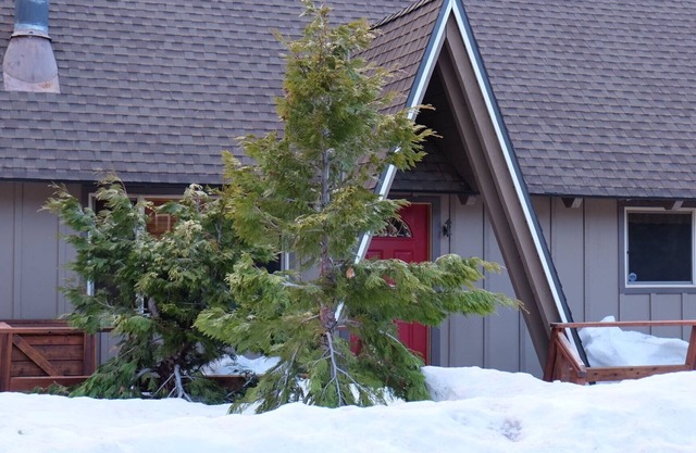 Lake Tahoe gem, 8 minutes to Heavenly, 3 blocks to the Lake and Regan Park