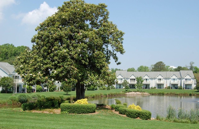 Lakefront 3 bedroom townhouse in quiet community with pool