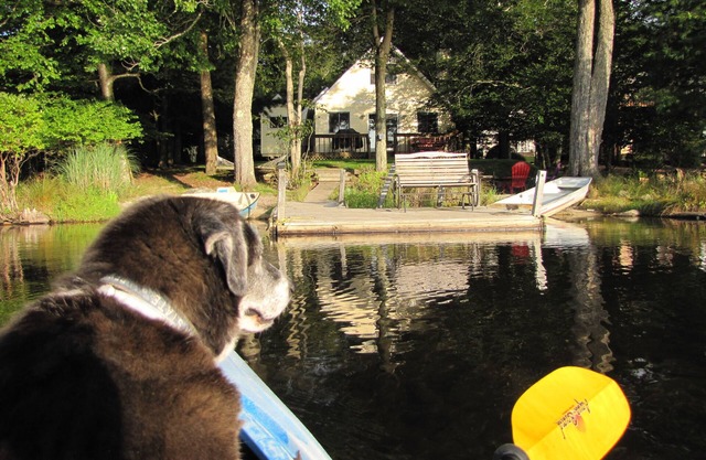 Lakefront Cabin w/Private Beach, Dock, AC, 4 Boats, Sauna