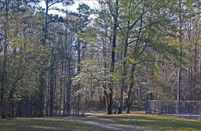Lakeside Cabin - Great Fishing & Privacy at its Best!