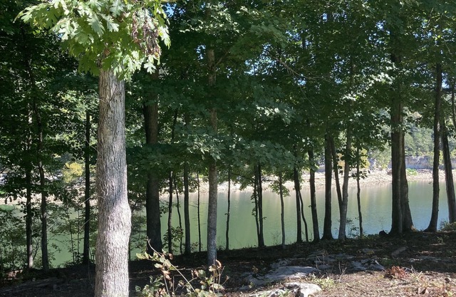 Lakeside Hideaway II - lakefront with hot tub/walk to boat ramp