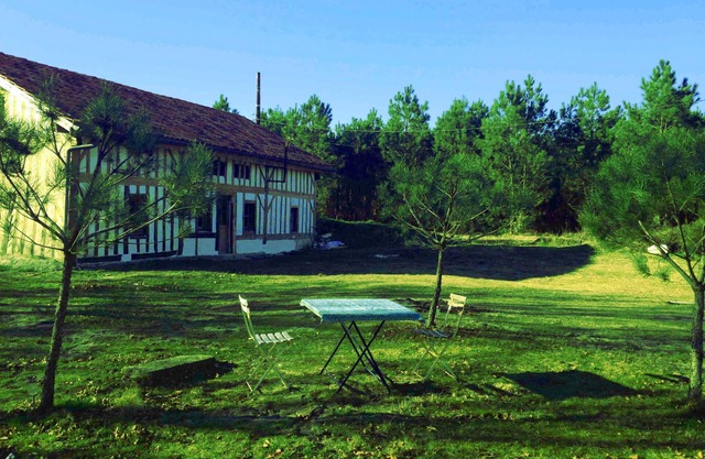 Landaise 8 people 25 minutes from the beaches with swimming pool