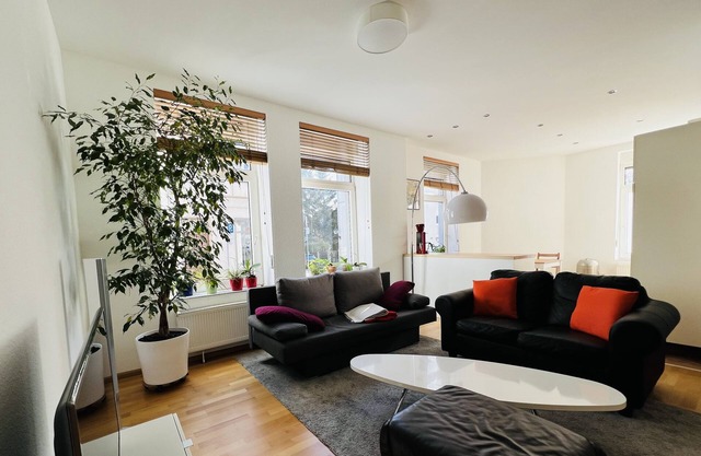 Large and bright city center apartment - vacation apartment