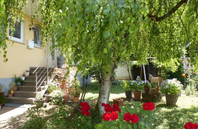Large, bright and cozy 2-room apartment near the Europapark.