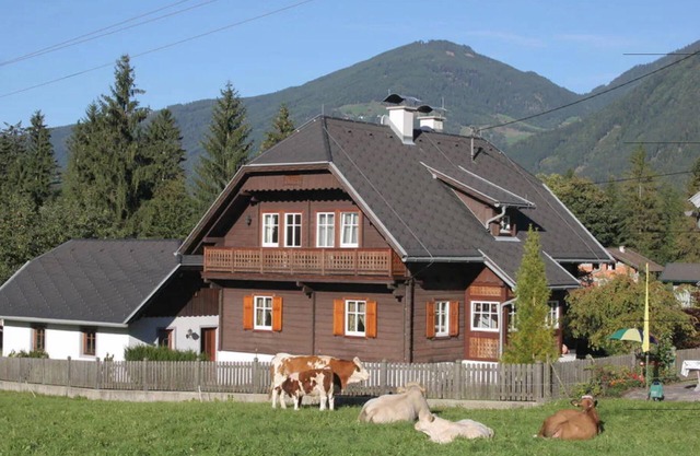Large holiday home with sauna and garden