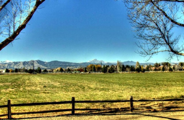 Large Home Near Boulder Fenced Yard 2 Dogs OK