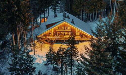 Large peaceful chalet for mountain adventures! Perfect for Flégère and Grand Montet skiing