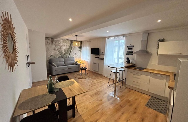 Large studio in the heart of Labruguière
