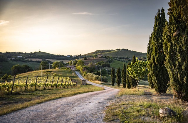 LAST MINUTE! 180° view on vineyards and Sibillini National Park
