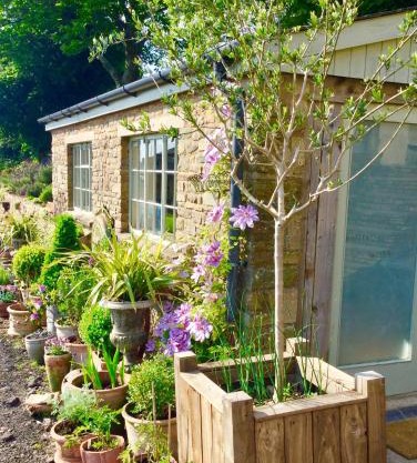 Lavender cottage