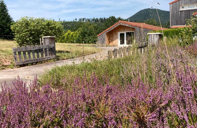 Le Chalet dans la Nature