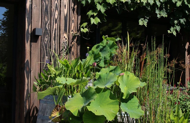 Le Clos des Poulies