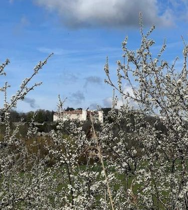 le Gîte de Marie Ray Sur Saône
