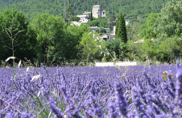 Le Mas des Restanques 3*,located in one of the most beautiful villages in France