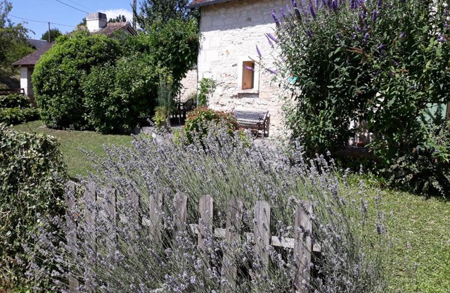 Le Misteflore