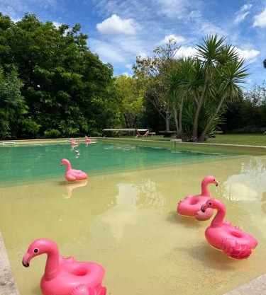 Le Patio, chambres d hôtes pour adultes en Camargue, possibilité de naturisme à la piscine,