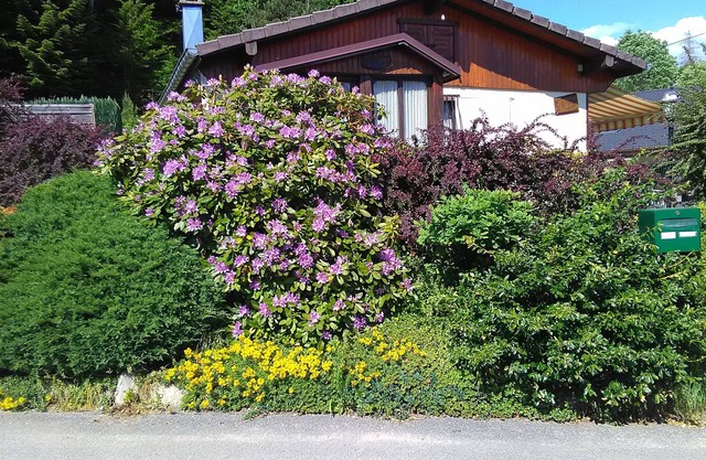Le Reposion, Chalet type house