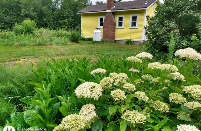 Lemon Drop Cottage a private cottage getaway