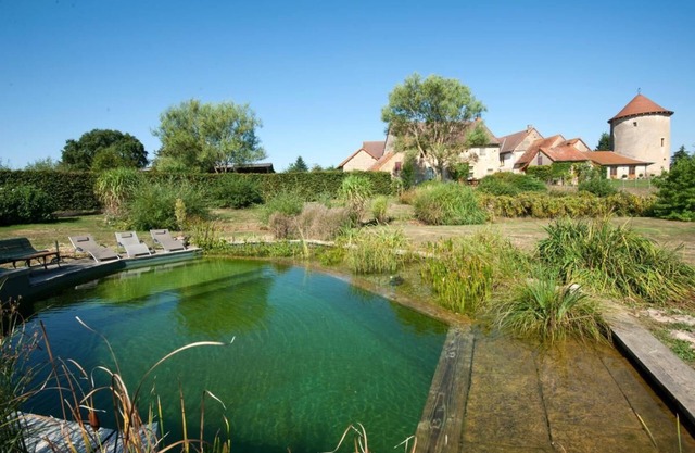Les Grenouilles - Saint Aubin EN Charollais