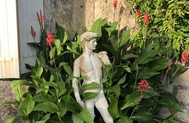 Les Geais