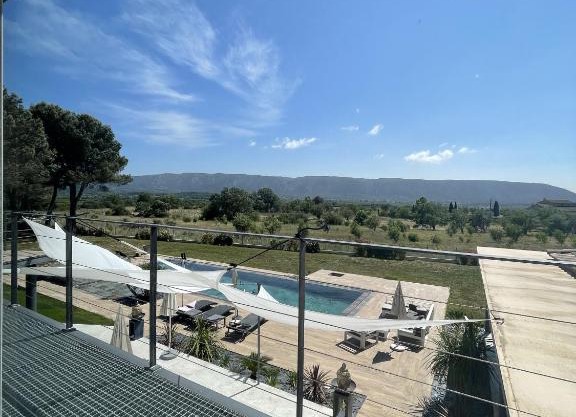 Les pins du Luberon