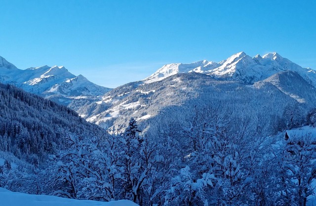 Les Roches your apartment in a chalet