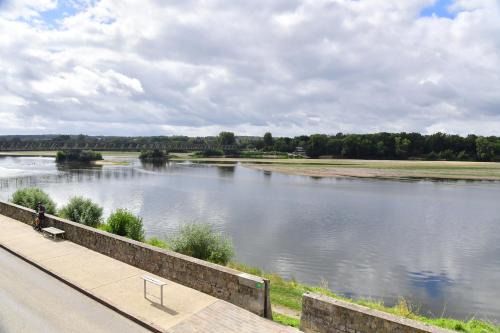 Les sternes de st Mathurin sur Loire , terrasse sur la Loire