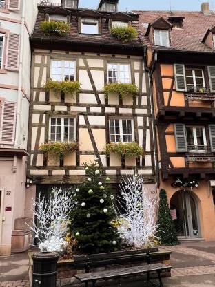 Les Suites Du Cygne