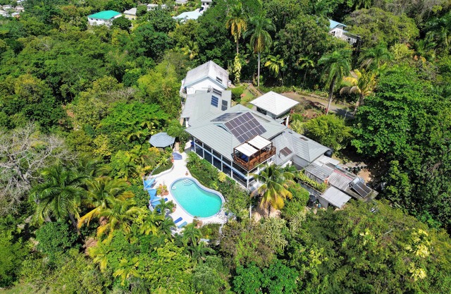 LF Jungle Retreat