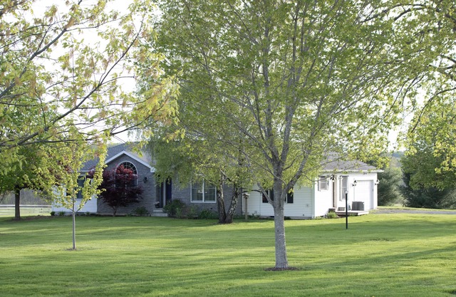 LG Backyard, BBQ Grill, Sleeps 12, Cottage in Stanley