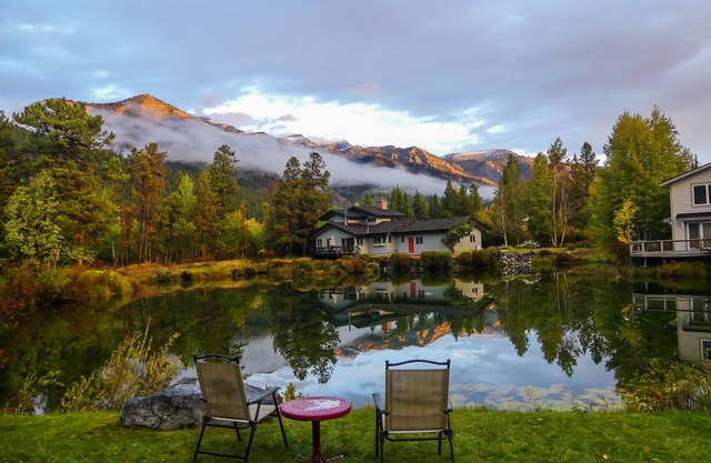 Life on the Pond