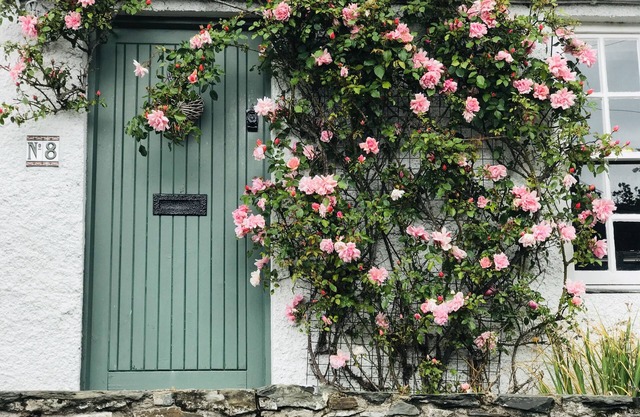Lilac Tree Cottage, Greyabbey, Strangford Lough, Co Down, N.Ireland