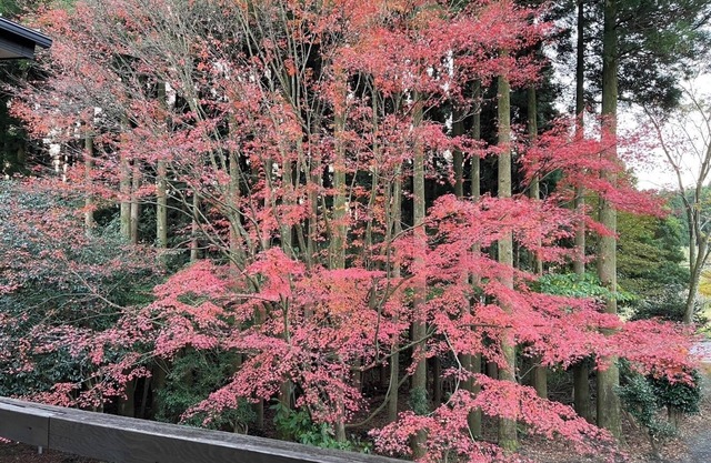 Limited to 1 group per day Reserve a spacious vi - Miraisou /Kirishima Kagoshima