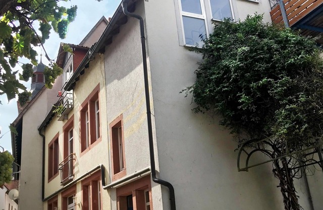 Lionheart - in the historic old town in Annweiler am Trifels -