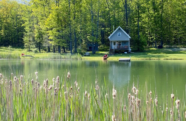 Little Cabin in the Big Woods