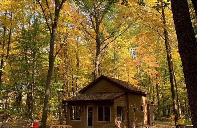 Little Cabin in the Woods - Quiet