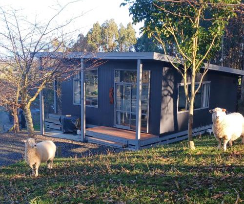 Little Forest Cabins No 3