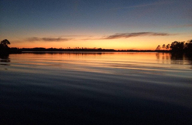 Lizzy's Landing: Come Kayak Canoe and Fish on Pungo Creek near Belhaven NC