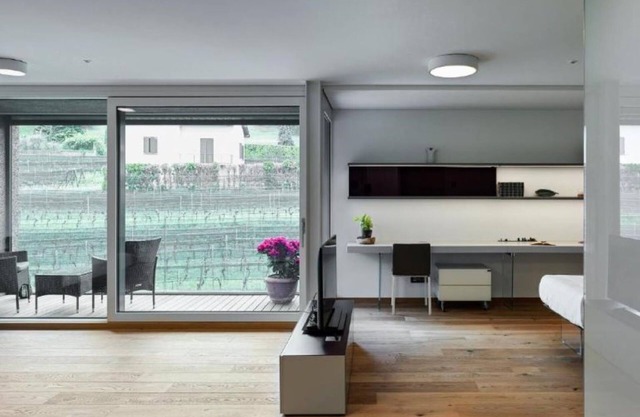 Lo Scudo di Stabio - 50 m² vineyard view LST