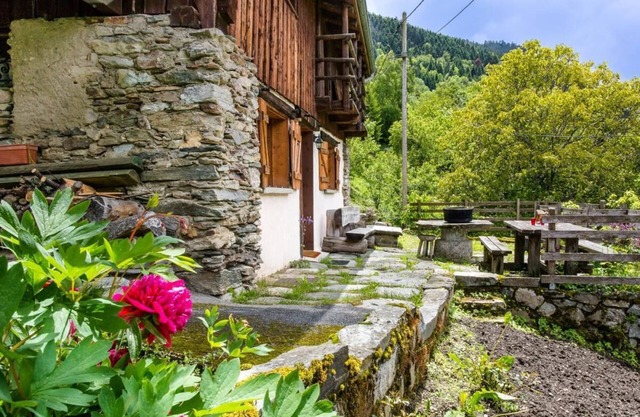 Located in a hamlet on the edge of a forest. 7km away, Doucy station (Combelouvière) with