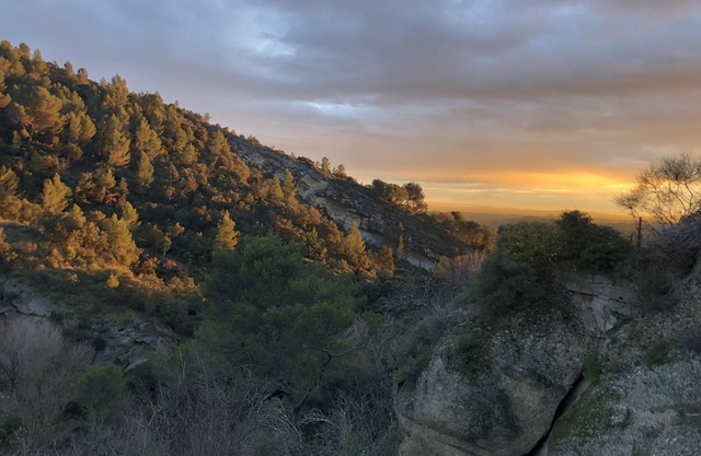 Location Avec Vue Exceptionnelle au Pied des Dentelles de Montmirail
