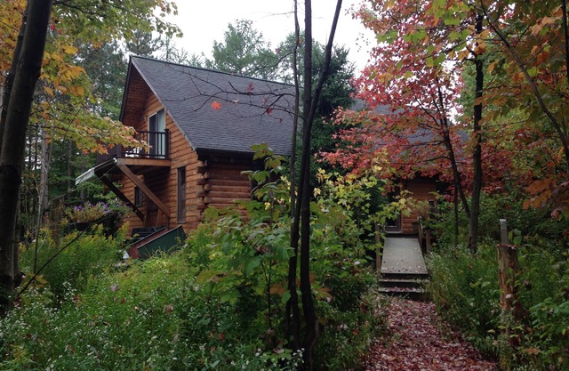 Log Cabin In the Woods