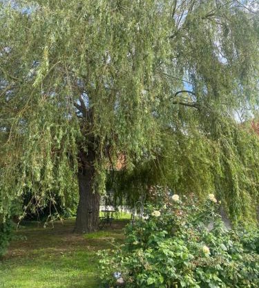 Logement atypique